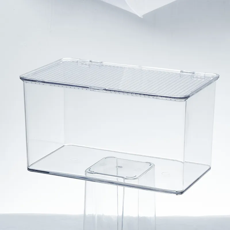 Você está pronto para descobrir as mais recentes caixas transparentes para soluções de armazenamento sem esforço?